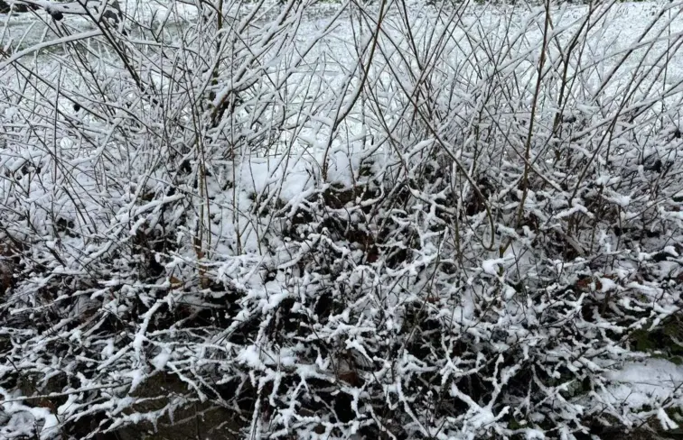 Imagem de uma paisagem de Montalegre coberta de neve